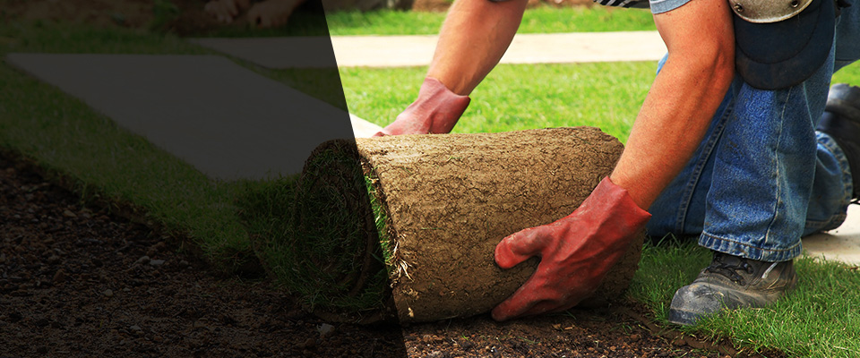Hazel Crest Landscapers